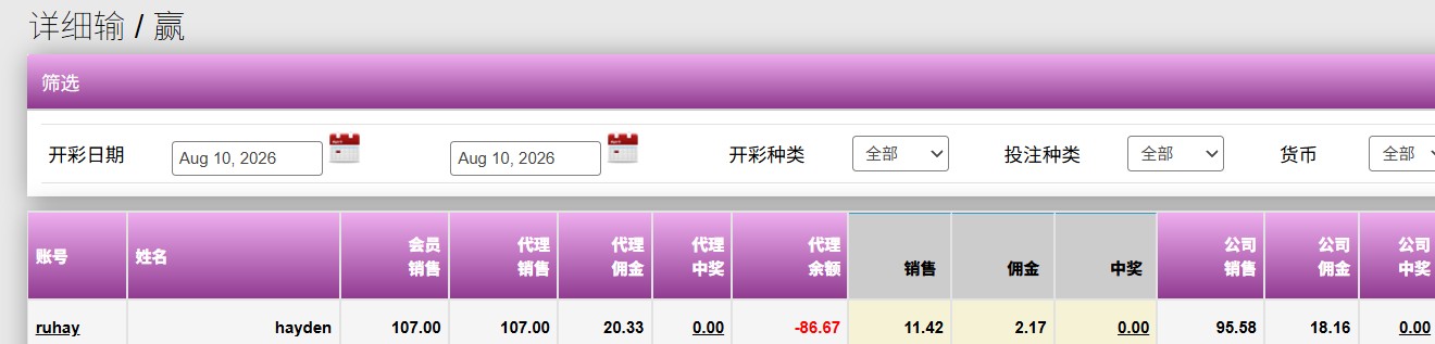 报表截图